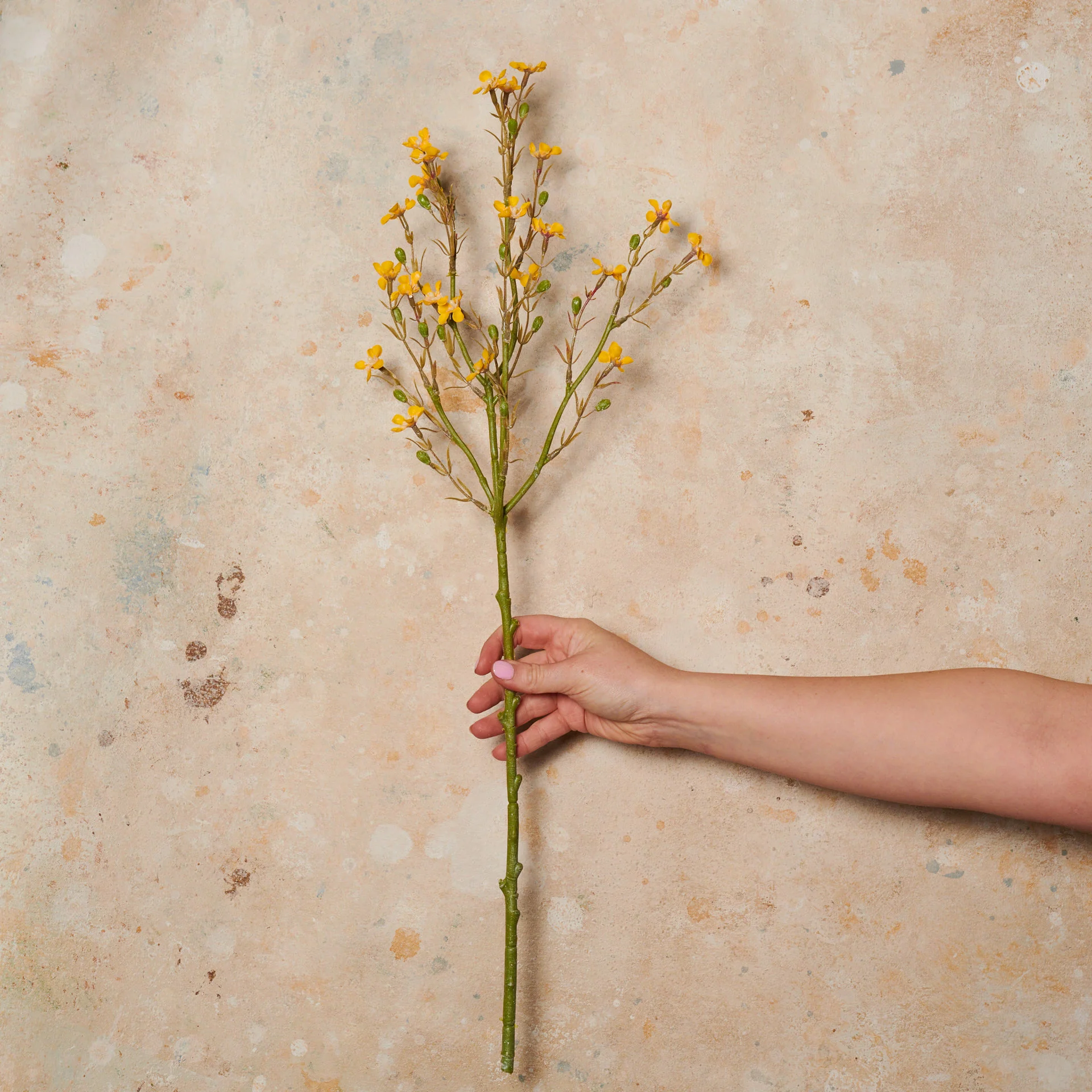 Wax Flower Real Touch Flower Stem - Image 5