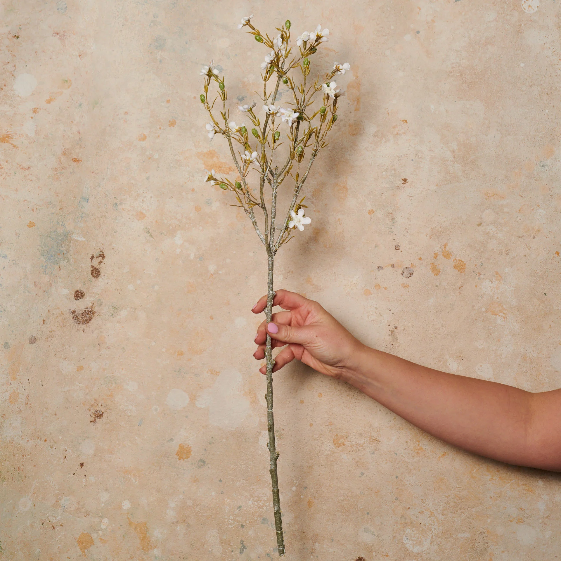 Wax Flower Real Touch Flower Stem - Image 6