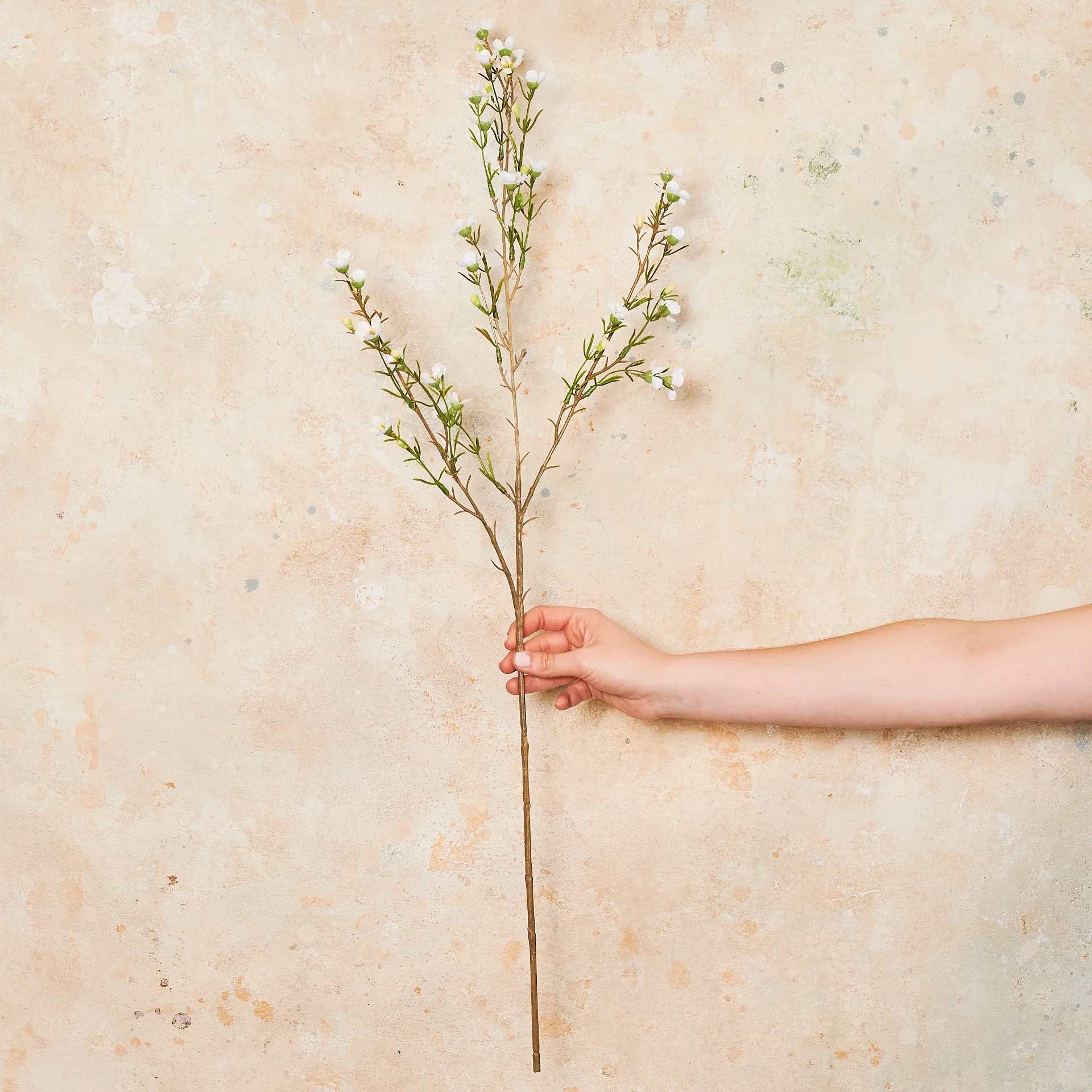 Wax Flower Premium Real Touch Flower Stem - Image 2