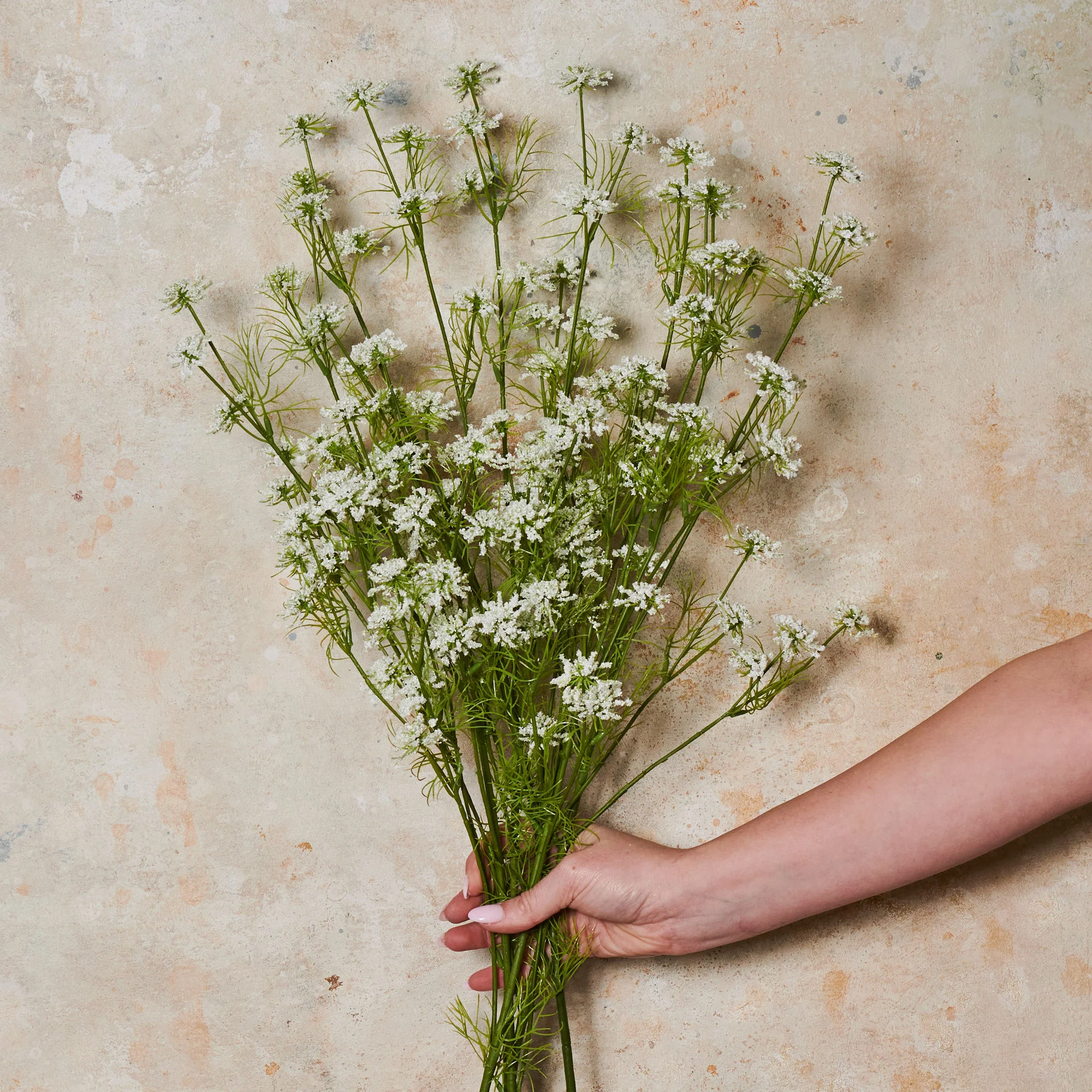 Wild Queen Annes Lace Real Touch Flower Stem - Image 4