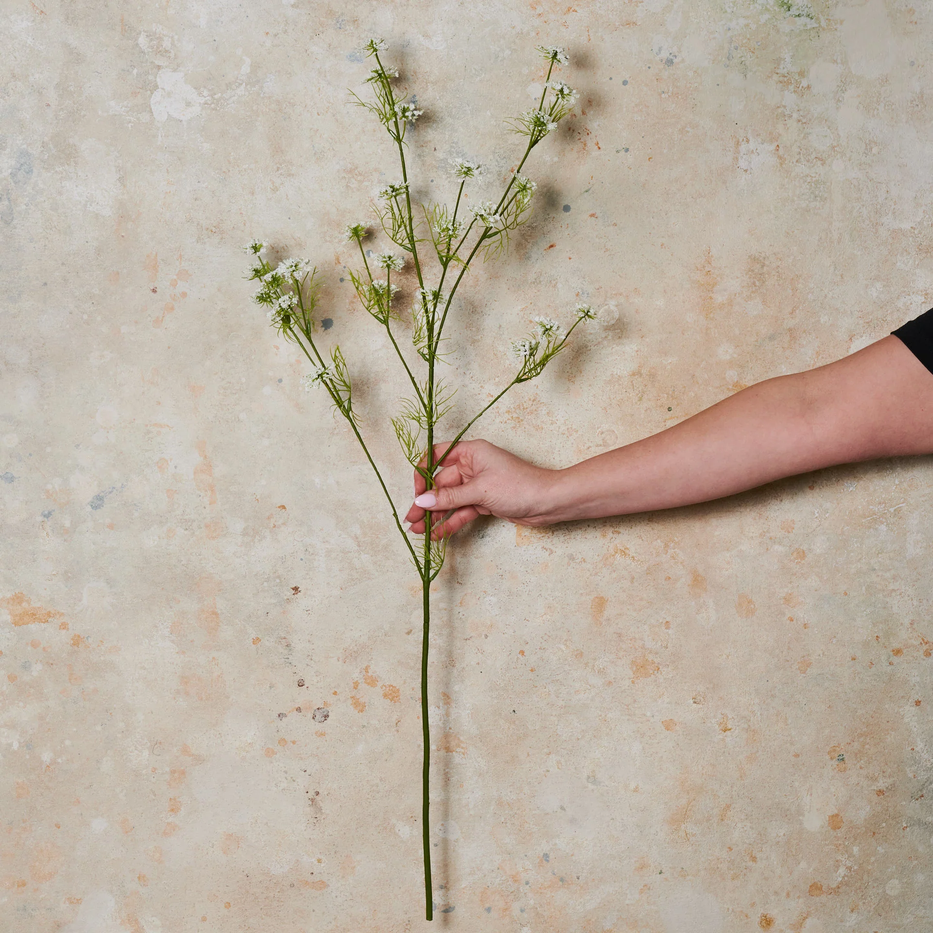 Wild Queen Annes Lace Real Touch Flower Stem - Image 5
