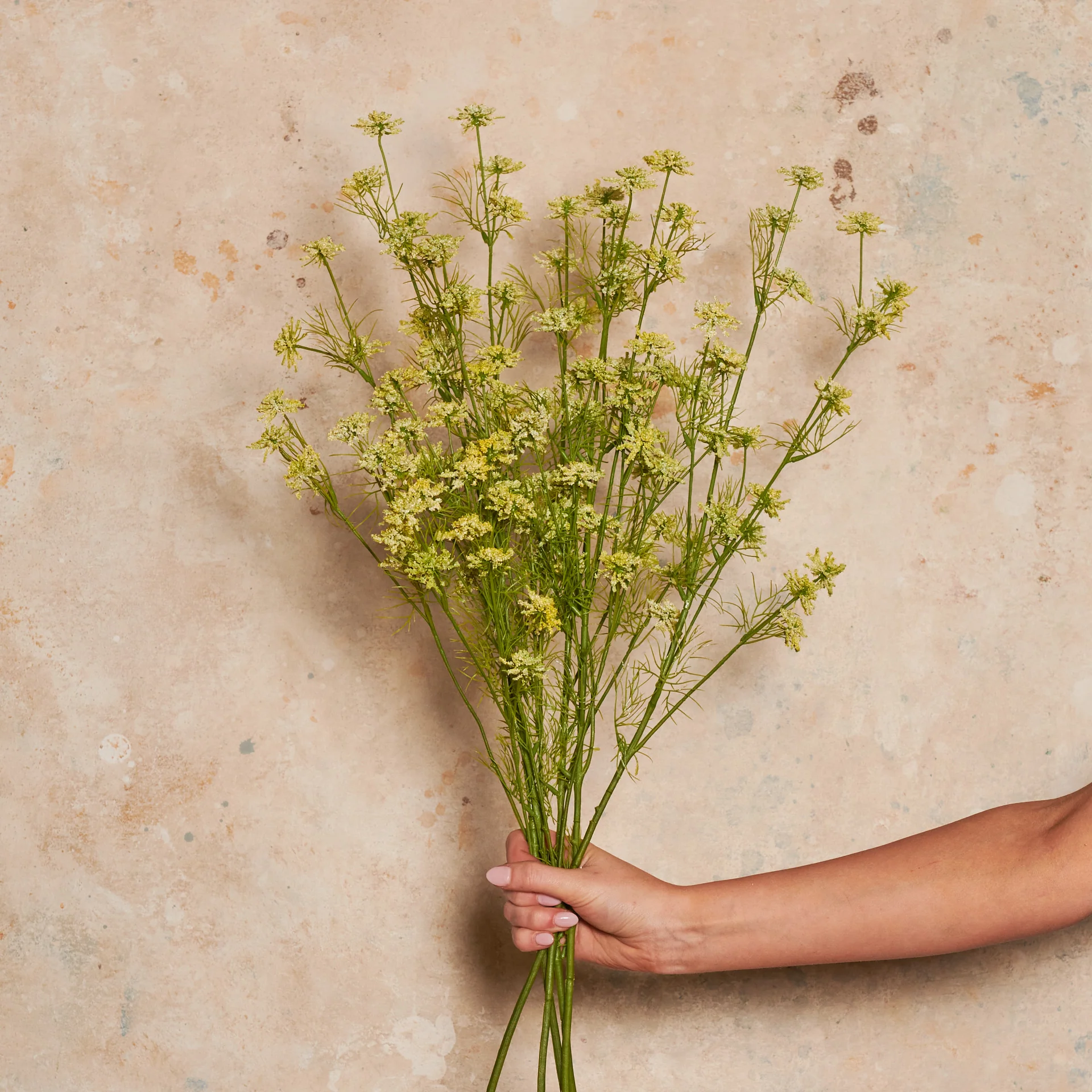 Wild Queen Annes Lace Real Touch Flower Stem - Image 6