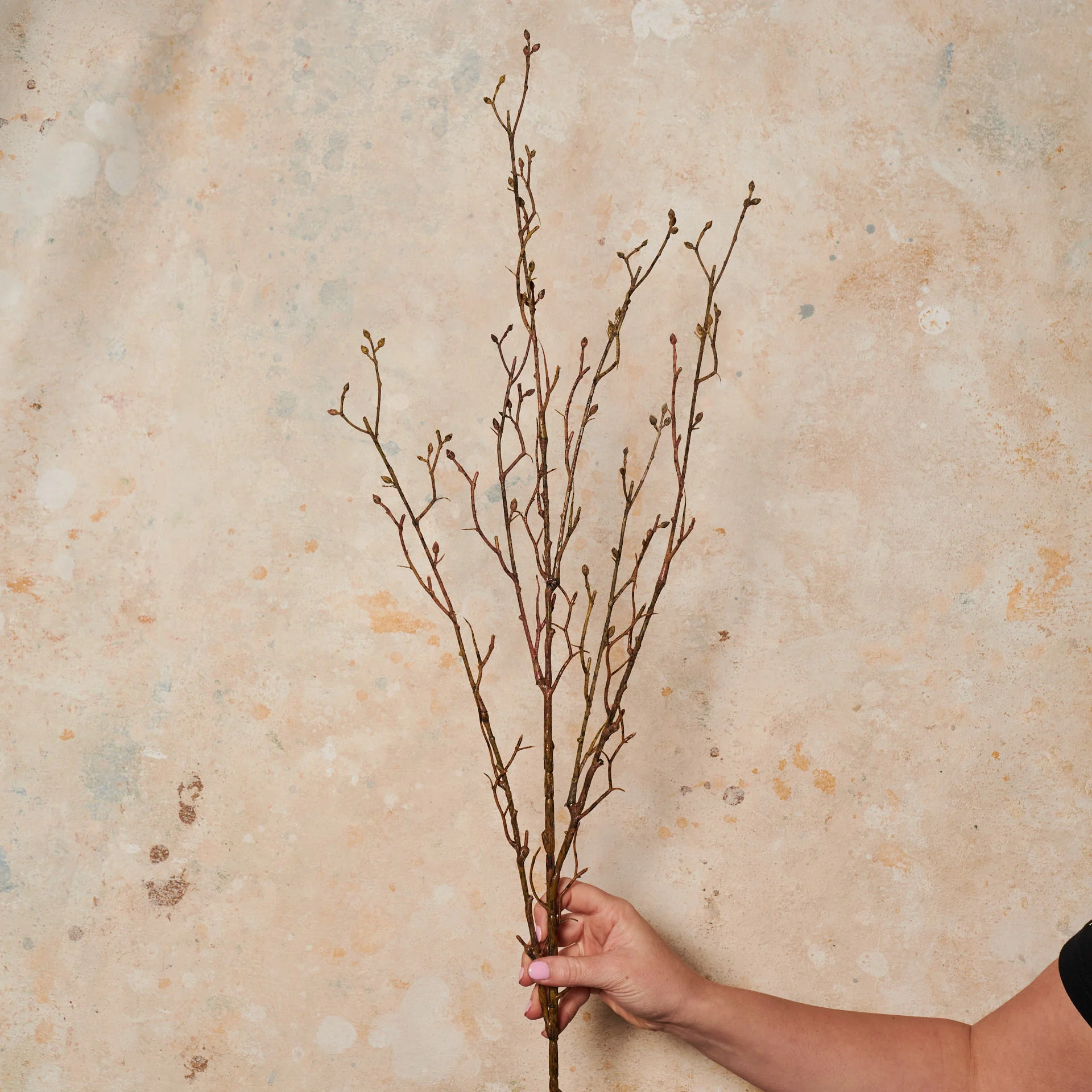 Willow Stick Real Touch - Image 2