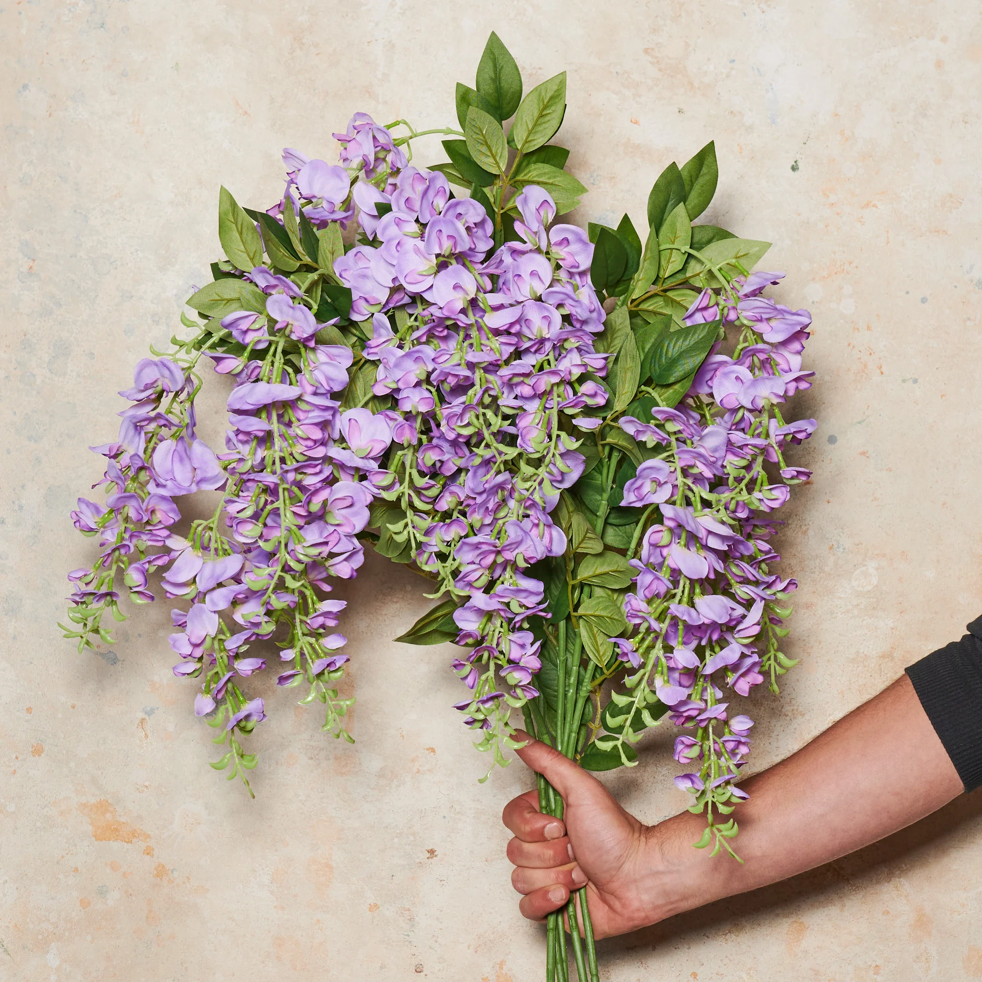 Wisteria Flower Stem - Image 4